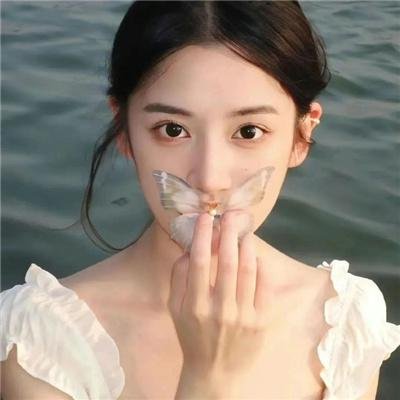 契诃夫之海鸥