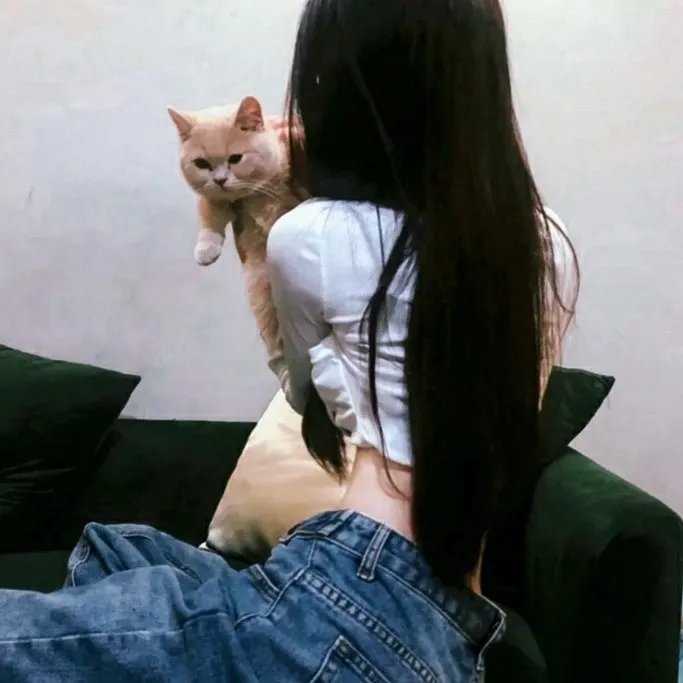 汤姆维特